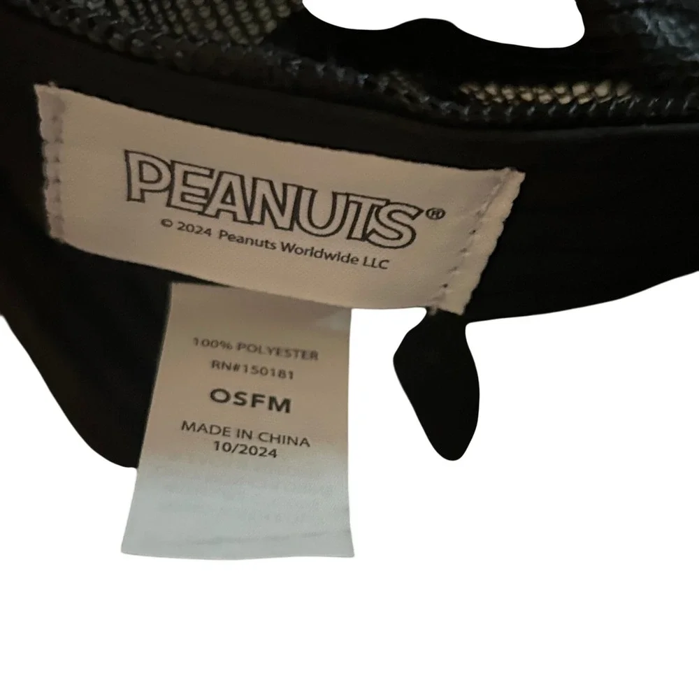 Peanuts snoopy charlie